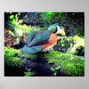 Suche nach wilde gans kunst Vogel