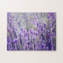 Suche nach lavendel blume puzzle Schön
