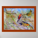 Suche nach fine art poster Nature