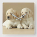 Suche nach labrador retriever wanduhren Niedlich