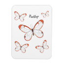 Suche nach transparent magnete Schmetterling