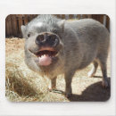 Suche nach schwein mousepads Bauernhof