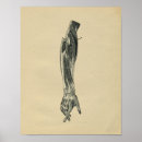 Suche nach menschlicher arm poster Anatomie