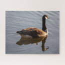 Suche nach gans puzzle Vogel