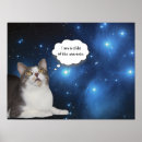 Suche nach kind des universums poster Katze