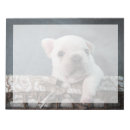 Suche nach french bulldog notizblock Welpe