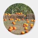 Suche nach hayes magnete Natur