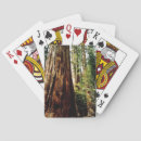 Suche nach redwood spielkarten California