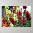 Suche nach mutiges poster Rosa