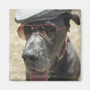 Suche nach dogge magnete Hund