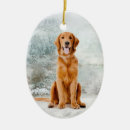 Suche nach golden retriever ornamente Winter