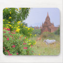 Suche nach myanmar mousepads Pagode