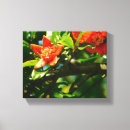 Suche nach granatapfel leinwandbilder Blume