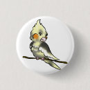 Suche nach parakeet buttons Cockatiel