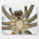 Suche nach spinnenartige tiere mousepads Spinnenartiges tier