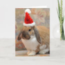 Suche nach häschen karten Spaß