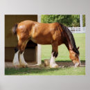 Suche nach clydesdale Bier