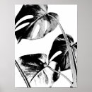 Suche nach tropische palmen poster Monstera