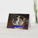 Suche nach sunglass karten Dog