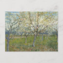 Suche nach obstgarten postkarten Van gogh gemälde