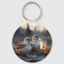 Suche nach ducks Vogelvogel