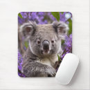 Suche nach koala mousepads Australisch