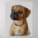 Suche nach puggle poster Niedlich