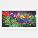 Suche nach hyazinthen aufkleber Tulpe