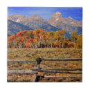 Suche nach herbst fliesen Baum