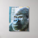 Suche nach gorilla leinwandbilder Tiere