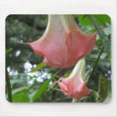 Suche nach trompeten mousepads Blume