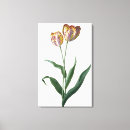 Suche nach ehret poster Jahrhundert