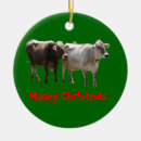 Suche nach moo ornamente Kühe