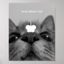 Suche nach schwarzes kätzchen poster Tier