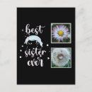 Suche nach schwester postkarten Sister