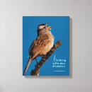 Suche nach spatz leinwandbilder Tierwelt