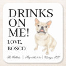 Suche nach frenchie Hundemutter