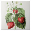 Suche nach vintage illustration fliesen Natur