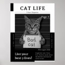 Suche nach schlechte katze poster Lustig