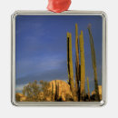 Suche nach mexiko ornamente Natur