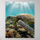 Suche nach korallenriff poster Meeresleben
