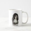 Suche nach tibetanischer terrier Tiere