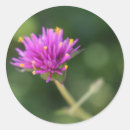 Suche nach purple aufkleber Blume