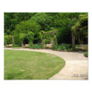 Suche nach rebe poster Baum