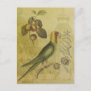 Suche nach pflaumen postkarten Gelb