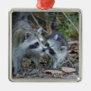 Suche nach sanibel ornamente Ding darling