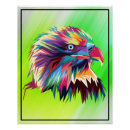 Suche nach bunter adler poster Vogelvogel
