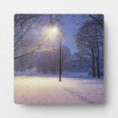 Suche nach schnee fotoplatten Baum