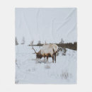Suche nach winterlandschaft decken Natur