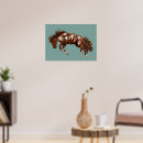 Suche nach pony poster Hengst